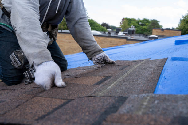 Best Flat Roof Repair Services  in Herald Harbor, MD